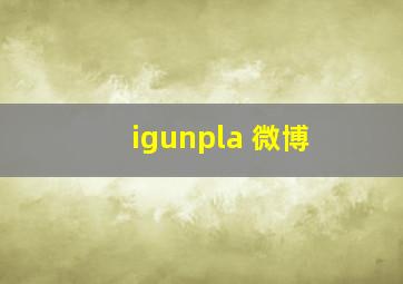 igunpla 微博